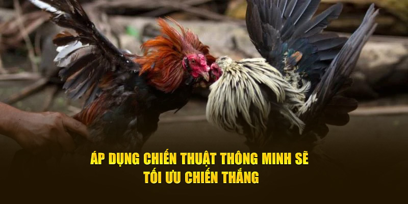 Áp dụng chiến thuật thông minh sẽ tối ưu chiến thắng