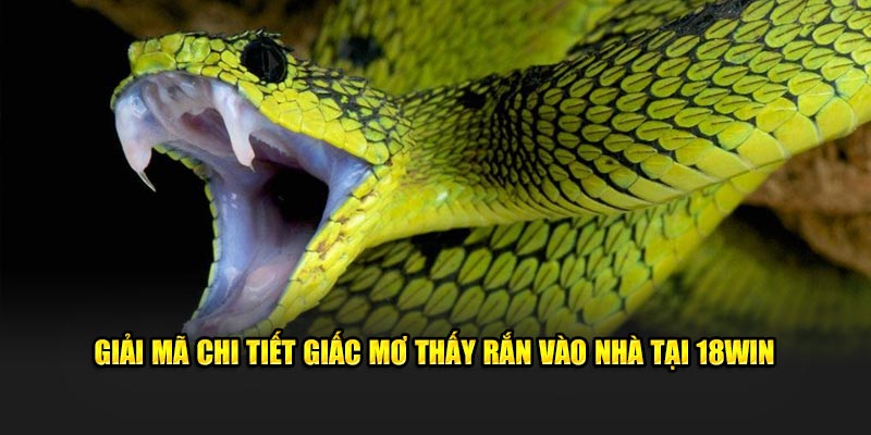 mơ thấy rắn vào nhà