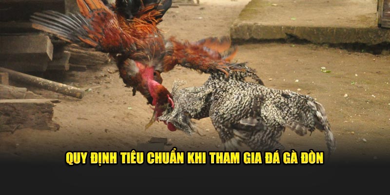 Quy định tiêu chuẩn khi tham gia đá gà đòn