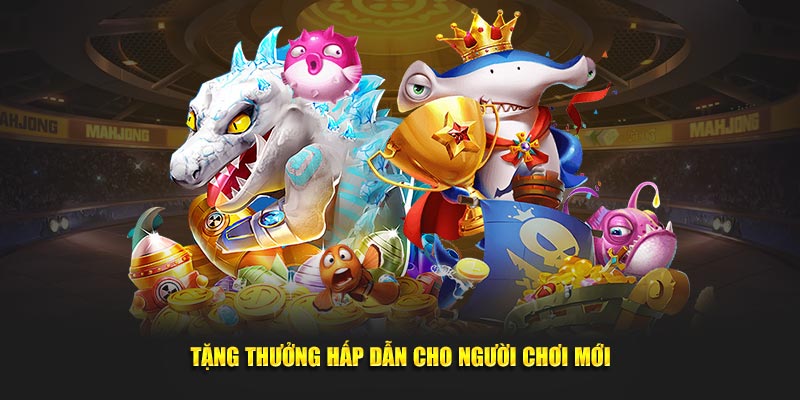 Tặng phần quà cực hấp dẫn cho người chơi mới